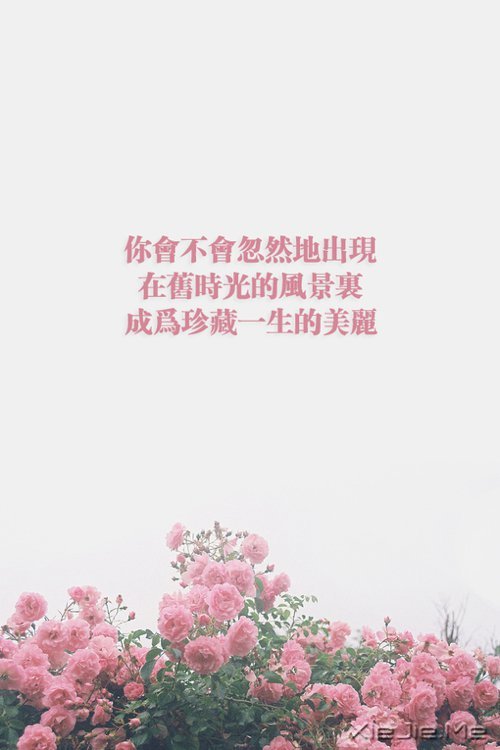 ����ֻ���ֽ��Ҫ��������