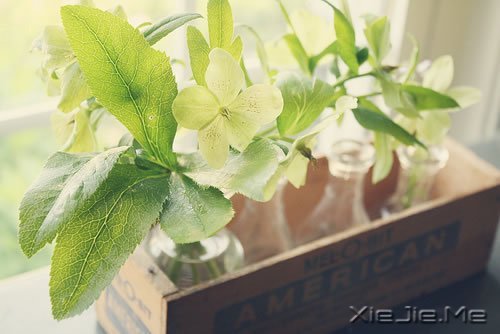 ���������ǿ���ϣ��������� (5)