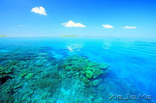 ���۷���ʲô�����ƴ��Լ� (5)