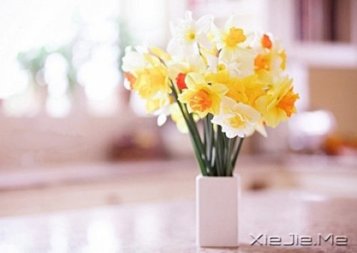 �е����㿴��һ�ۣ�ȴ������һ�� (3)