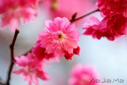 ��һ����������ʧȥ��60��Ŀ��� (3)