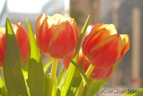 ��һ����������ʧȥ��60��Ŀ��� (6)