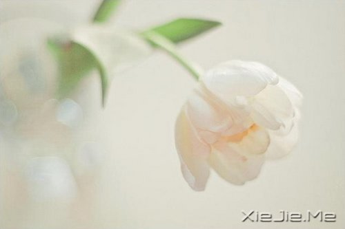 �����ж�пᣬ��͸��ж��ǿ (2)