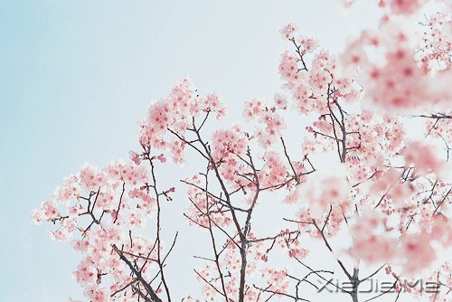 ���ܳɹ���������������� (4)