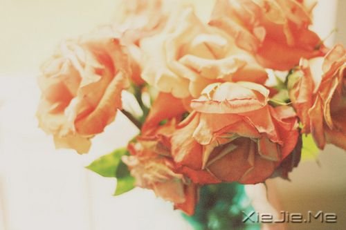 ǧ��Ҫ��Ϊ�ߵ�̫�ã�������������Ϊʲô���� (1)