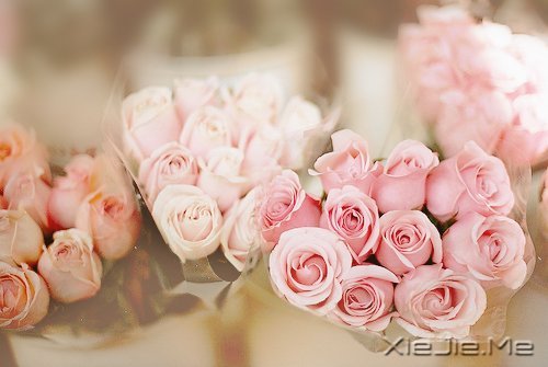 �簲������ʱ����Ե��ˣ�һ��Ҳ�Ͳ������ (2)