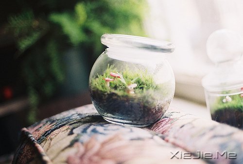 ������������ǳ����У������һ���ľ� (5)