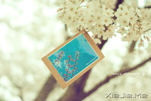 �������Զ�����Ƿ羰�������Ĳ������� (7)