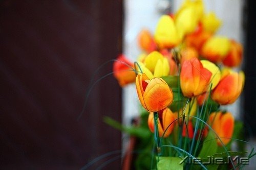 �簲������Լ����������ǣ������Ǳ��������еĿ��� (4)