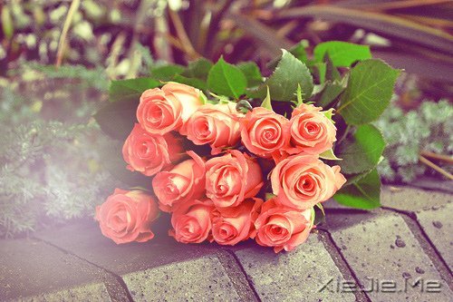 �簲������Լ����������ǣ������Ǳ��������еĿ��� (7)