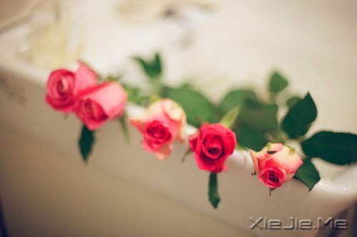 �簲������Լ����������ǣ������Ǳ��������еĿ��� (11)