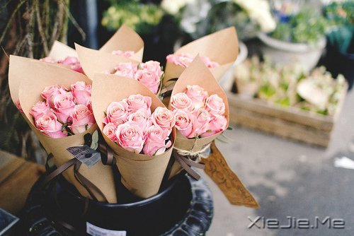 ������������һ���Ǹ����˿��ģ����ɵ�һ���Ǹ����˿��� (6)