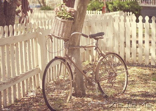 ���������������ڰ�����������ƻ� (5)