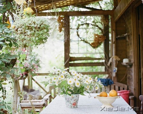 �������ѡ��������£�ڹ�Ϳ��������� (5)