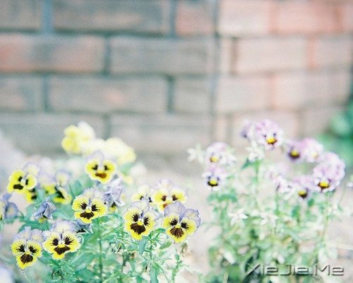 �������ѡ��������£�ڹ�Ϳ��������� (4)