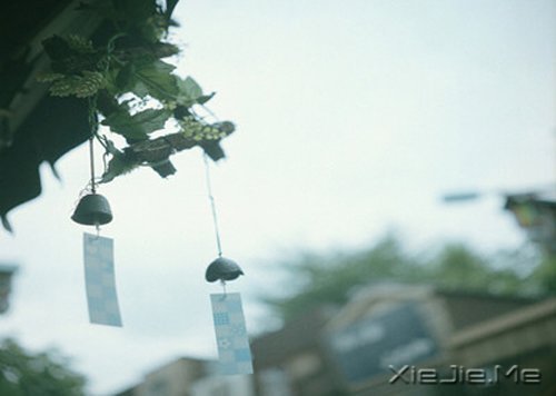 ������������ʱ����������Ӧ���Ǽ�ǿ (4)