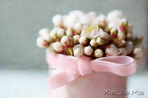 ������Ŭ������Լ�ϲ�����Ǹ��Լ� (3)