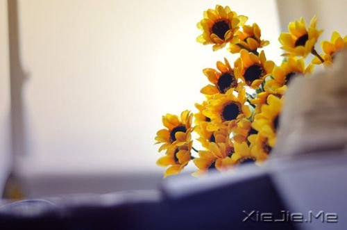 �簲���������������һ���˵����� (6)