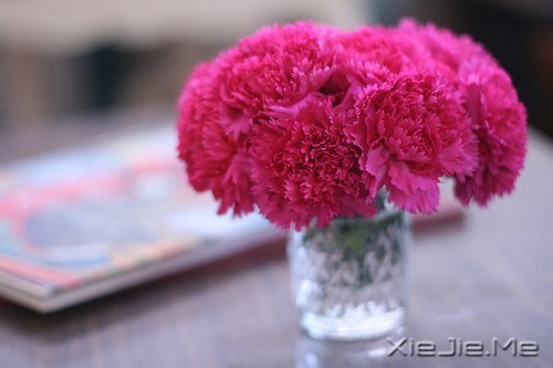 ���������ʰ���飬������· (1)