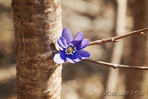 ���������ʰ���飬������· (2)