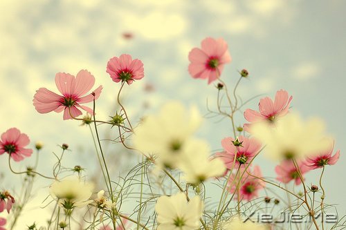 ����������������У����������� (6)