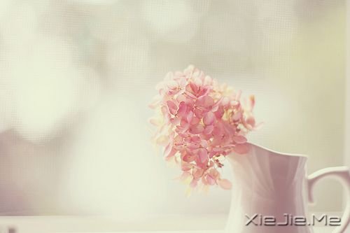 �簲�����Ҫ�ò�����������ʴ�����ĵ��� (9)