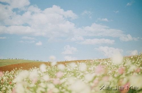 �簲�����Ȼ����������һ�ֳɳ� (6)