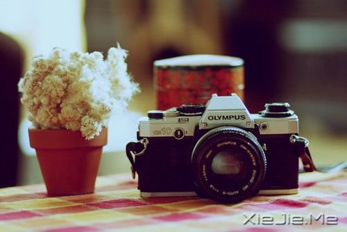 �������ֻҪ�������ʵģ�������û������ (4)