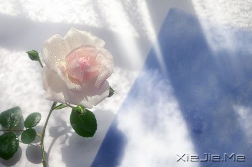 �������������Ҳ������������� (3)