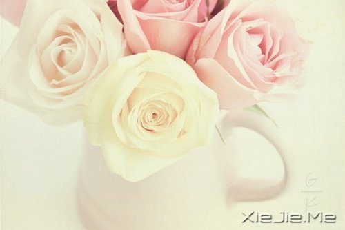 ��������¸����΢Ц��� (1)