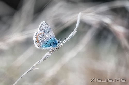 ��������峺����Զ���������ĵ� (4)