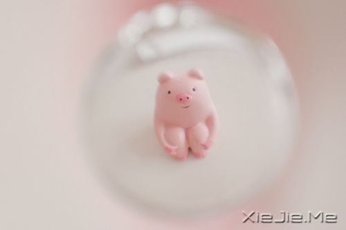 ����������Լ���һ�������� (3)