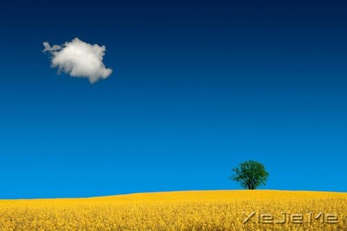 �簲����չ�ÿ���˵ĸ��ܣ�ע���Լ�������� (5)