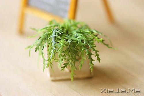 ������������ǻ��к�����ȥ�����������°� (2)