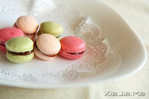 ���������һ������бܶ����� (10)