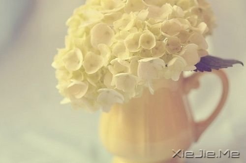 �簲������Ҷ���Խ��Խ��òʱ�����ǻ�����Խ��Խİ���� (3)