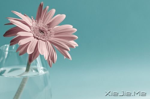 С����ͼƬ (1)