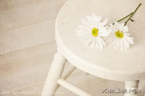 ˯�����տ��ϣ���ʹ��ɥ��Ҳ���泯���� (5)