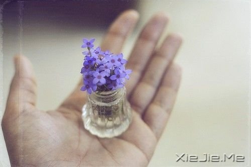 С����ͼƬ (9)