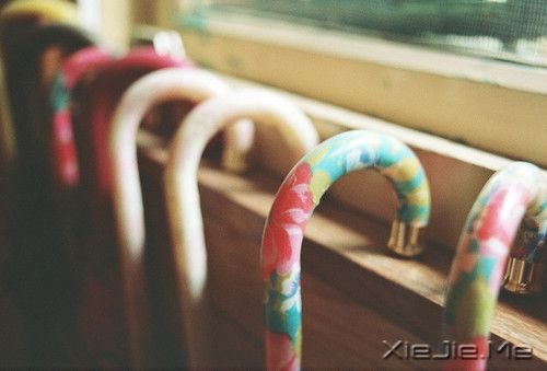 �簲���������������� (8)