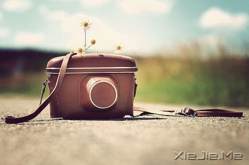 �Ҹ�����·��