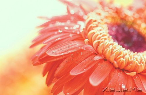 ���˹��£���ԶҲԶ��������