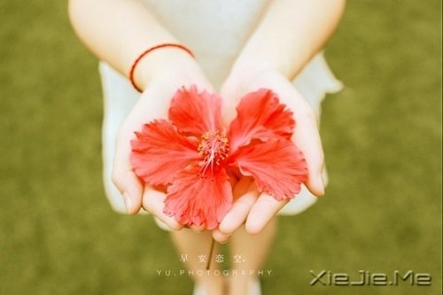 ������ʮ������������ø������� (7)