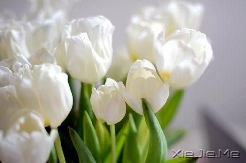 �����������ĸ������ͱ���Ĺ��� (6)