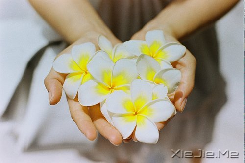 2014�����Լ���ʮ�仰 (8)