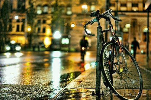 14�׹�����Ĵ������Ƽ� (8)