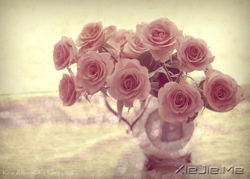 10����ů��Ӣ�ĸ����Ƽ� (8)