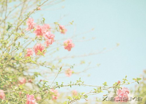 ���������˼���ζ���延