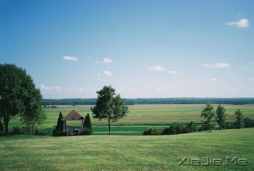 ���ĵ���ʲô���ݻ���ʲô�ǽ���