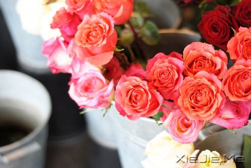 ������¼��ֻҪ�ʺ��Լ��������Ҹ� (6)